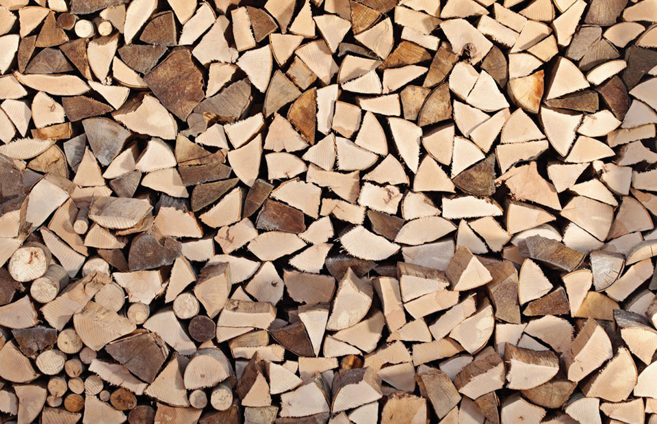 types de bois