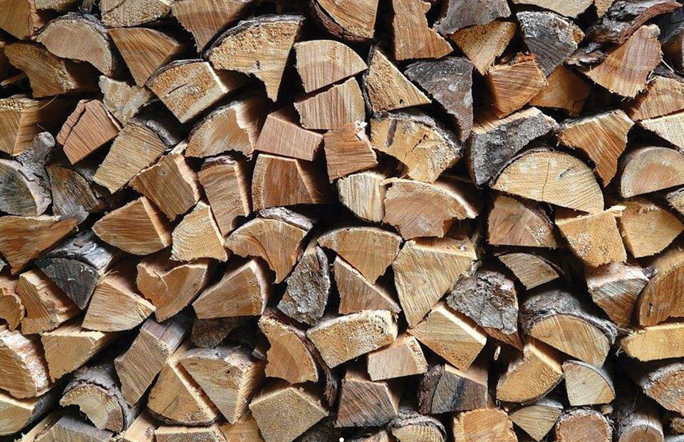 types de bois